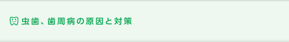 虫歯、歯周病の原因と対策