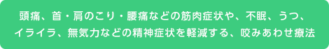 頭痛、首・肩のこり・腰痛などの筋肉症状や、不眠、うつ、
イライラ、無気力などの精神症状を軽減する、咬みあわせ療法